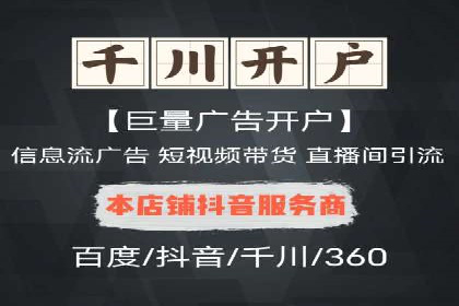 百度竞价排名策略解析：一家公司的广告投放策略全揭秘